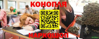 Альфа ПВП Новодвинск