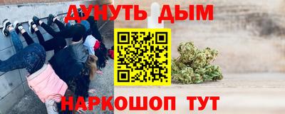 Альфа ПВП Новодвинск