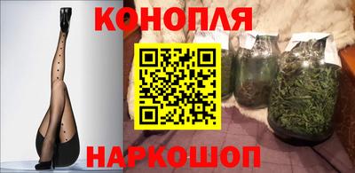 Альфа ПВП Новодвинск