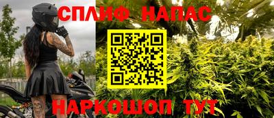 Альфа ПВП Новодвинск