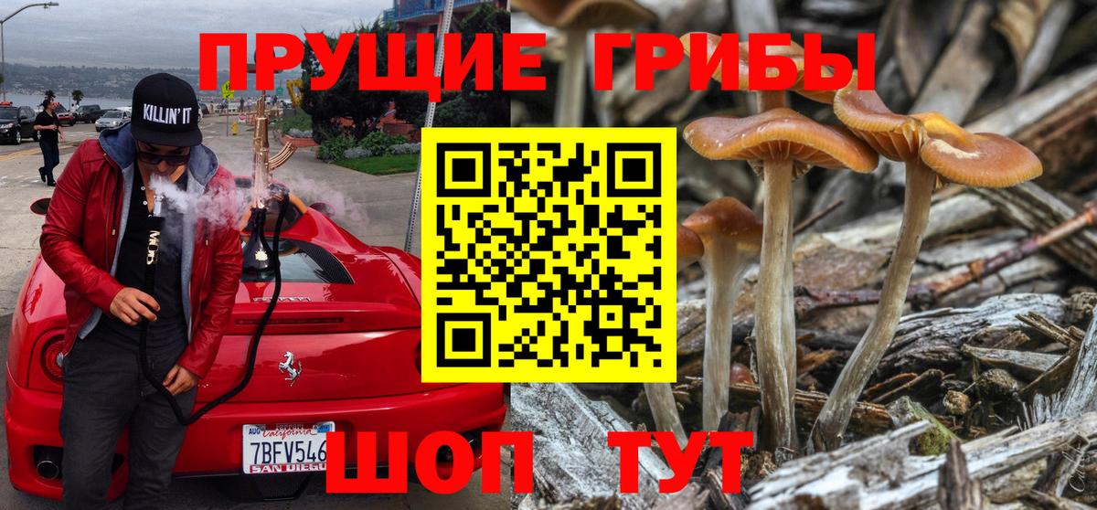 купить   Галлюциногенные грибы MAGIC MUSHROOMS  Вход с VPN  Урюпинск  Галлюциногенные грибы Psilocybe 